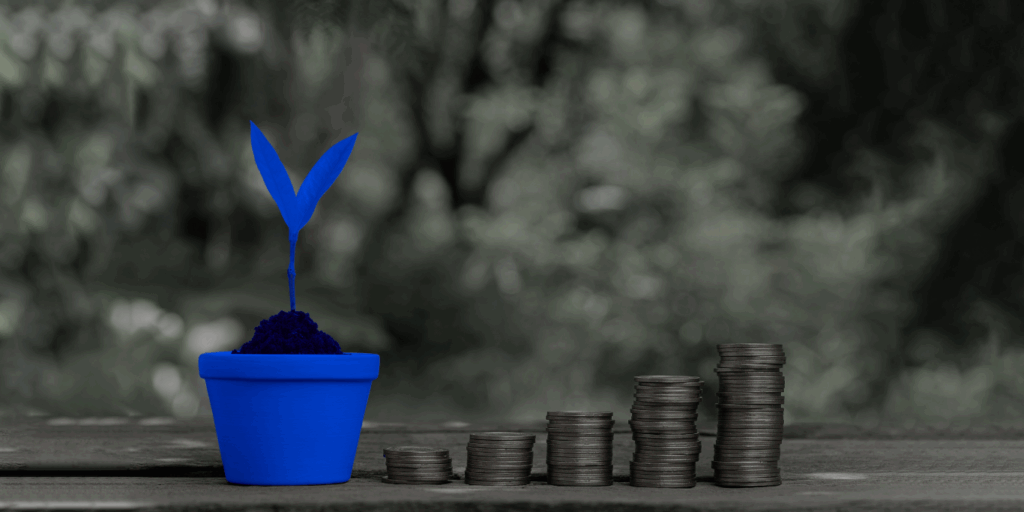  Mercado de capitais e o agro: como funciona o apoio